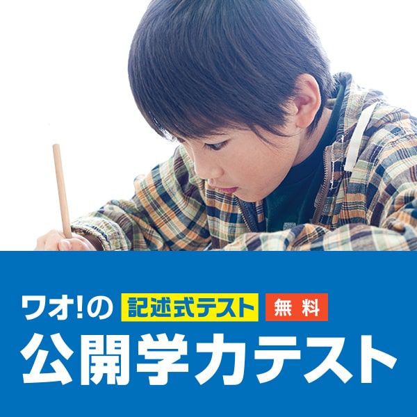 公開学力テスト