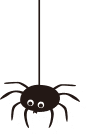 蜘蛛