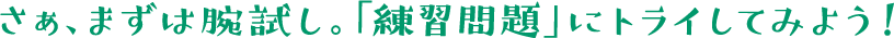 さぁまずは腕試し。「練習問題」にトライしてみよう！