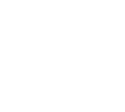 光と