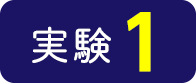 実験1