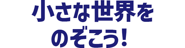 小さな世界をのぞこう！