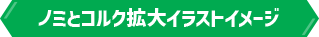 ノミとコルク拡大イラストイメージ