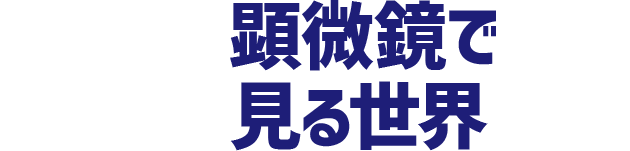 顕微鏡で見る世界