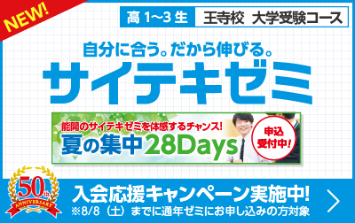 サイテキゼミ
