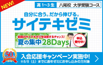 サイテキゼミ