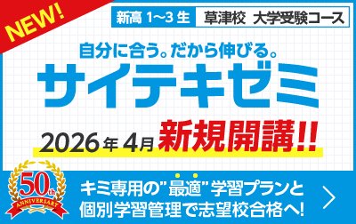 サイテキゼミ