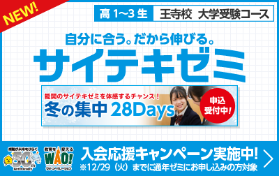 サイテキゼミ